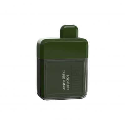 VAPEMAN B5000 (5000 затяжек) 2% 15ml перезаряжаемые type-c