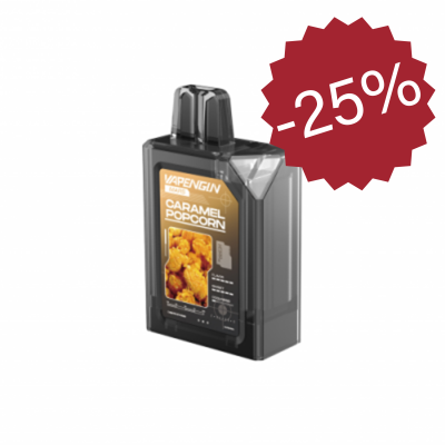Vapengin MARS (4000 затяжек) 2% 12ml перезаряжаемые type-c